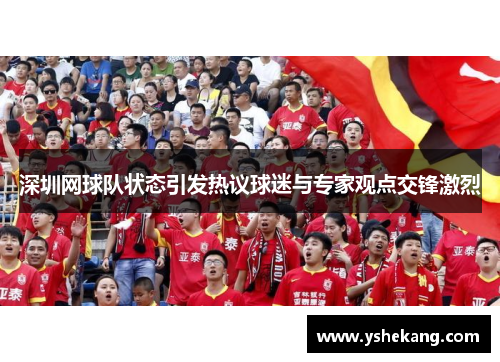 深圳网球队状态引发热议球迷与专家观点交锋激烈