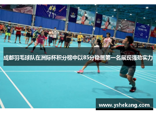 成都羽毛球队在洲际杯积分榜中以85分稳居第一名展现强劲实力