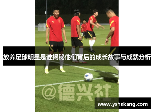 放养足球明星是谁揭秘他们背后的成长故事与成就分析