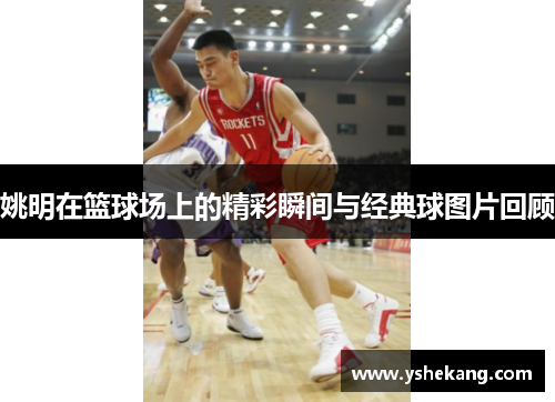 姚明在篮球场上的精彩瞬间与经典球图片回顾
