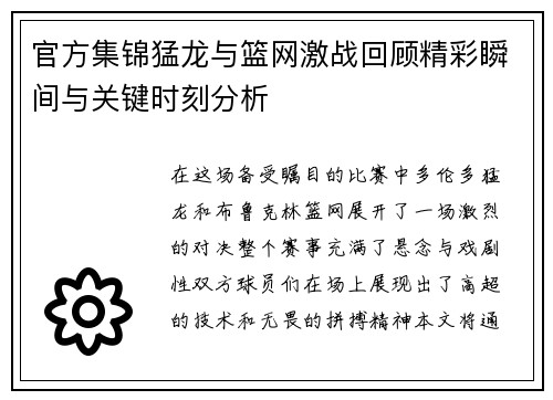官方集锦猛龙与篮网激战回顾精彩瞬间与关键时刻分析