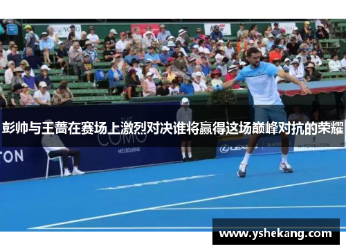 彭帅与王蔷在赛场上激烈对决谁将赢得这场巅峰对抗的荣耀