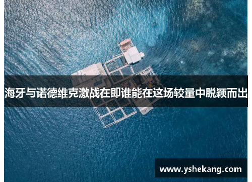海牙与诺德维克激战在即谁能在这场较量中脱颖而出